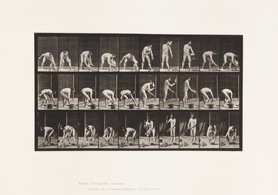 Placa 506. Albañilería de Eadweard Muybridge