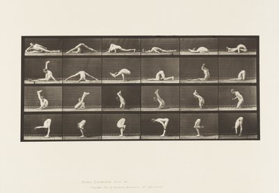Placa 510. Contorsiones en el suelo, 1872-1885 de Eadweard Muybridge