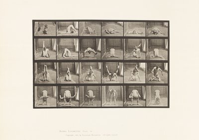 Placa 511. Contorsiones en el Suelo de Eadweard Muybridge