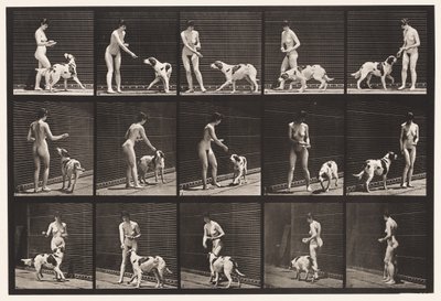 Placa 514. Alimentando a un perro de Eadweard Muybridge