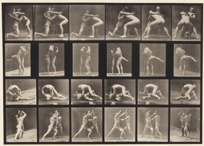 Placa 520. A, 98 y 100 Luchando; B, 98 y 100 Luchando de Eadweard Muybridge