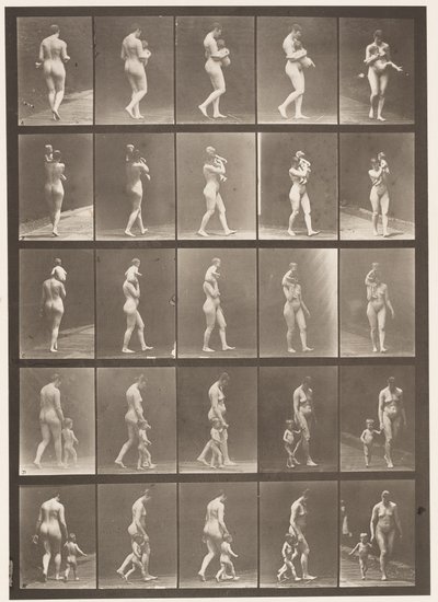 Placa 528. A,B,C de Eadweard Muybridge