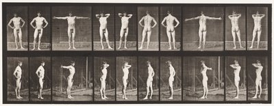 Placa 529. Varias Poses de Eadweard Muybridge