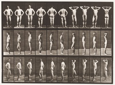 Placa 530. Varias Poses de Eadweard Muybridge