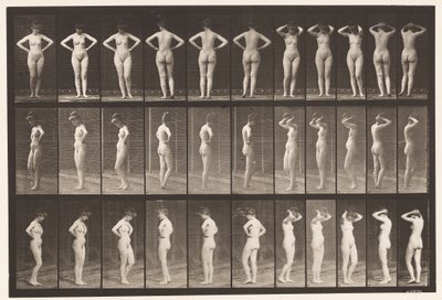 Placa 531. Varias Poses de Eadweard Muybridge