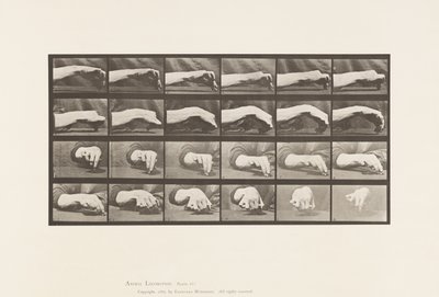 Placa 532. Movimiento de la mano; dibujando un círculo de Eadweard Muybridge