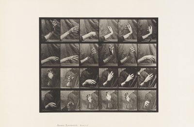 Placa 535. Movimiento de la mano; marcando el tiempo de Eadweard Muybridge