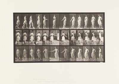 Placa 53. Caminando, esparciendo flores y girando de Eadweard Muybridge