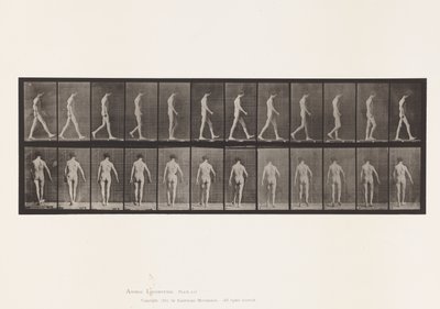 Placa 546. Ataxia locomotora; caminando de Eadweard Muybridge