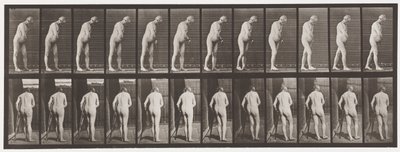 Placa 547. Hemiplejía; caminando con muleta de Eadweard Muybridge