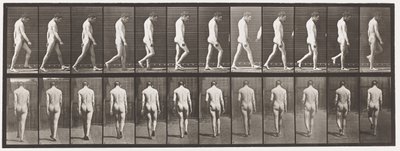 Placa 549. Epilepsia; Caminando, 1885 de Eadweard Muybridge