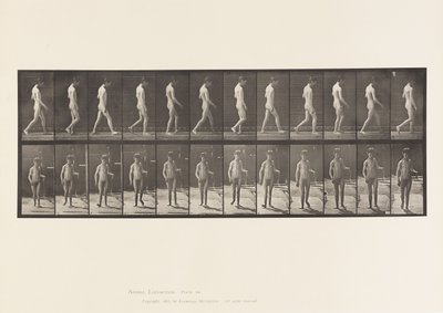 Placa 551. Epilepsia; Caminando, 1885 de Eadweard Muybridge