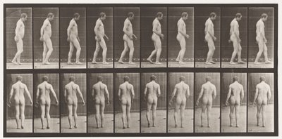Placa 553. Después de un Traumatismo en la Cabeza; Caminando, 1885 de Eadweard Muybridge