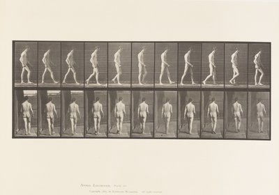 Placa 554. Ataxia Locomotora; Caminando, 1885 de Eadweard Muybridge
