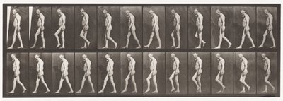 Placa 555. Atrofia muscular de las piernas; adulto, A,B, caminando, 1885 de Eadweard Muybridge