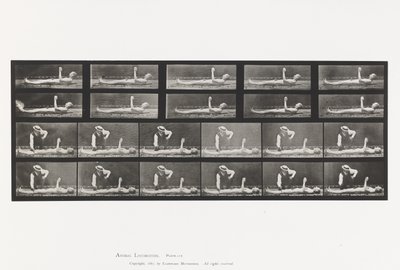 Placa 556. Corea local; A, B, Mientras yace de Eadweard Muybridge