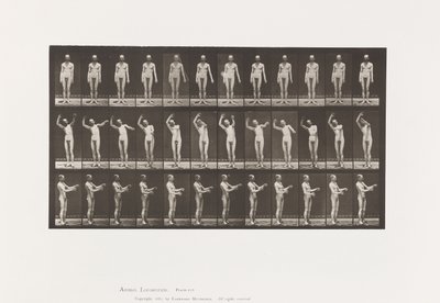 Placa 557. Corea local; A, B, C, mientras está de pie de Eadweard Muybridge