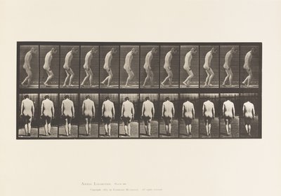 Placa 558. Paraplejía; parcial; caminando, 1885 de Eadweard Muybridge