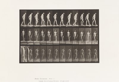 Placa 559. Esclerosis diseminada; Caminando con bastón de Eadweard Muybridge