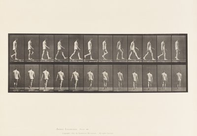 Placa 560. Ataxia locomotora; caminando, 1885 de Eadweard Muybridge
