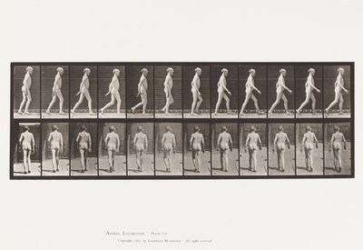 Placa 562. Curvatura Lateral de la Columna; Caminando de Eadweard Muybridge