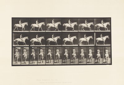 Placa 582. Caminando; Silla; Jinete Desnudo; Caballo Gris Claro Smith de Eadweard Muybridge