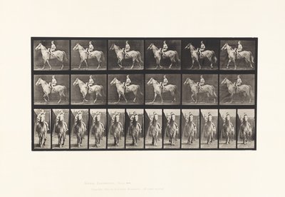 Placa 583. Caminando; silla; jinete femenino; desnudo; caballo gris Tan de Eadweard Muybridge