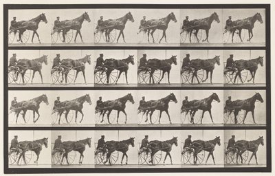Placa 587. Caminando; sulky; yegua alazán Nellie Rose de Eadweard Muybridge
