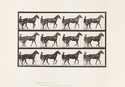 Placa 588. Caminando; sulky; caballo bayo Reuben de Eadweard Muybridge