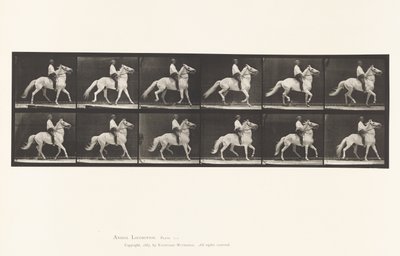 Placa 589. Amblando de Eadweard Muybridge