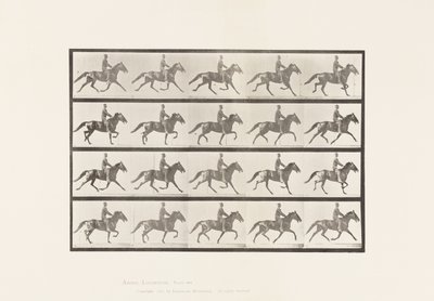 Placa 591. Meciendo de Eadweard Muybridge