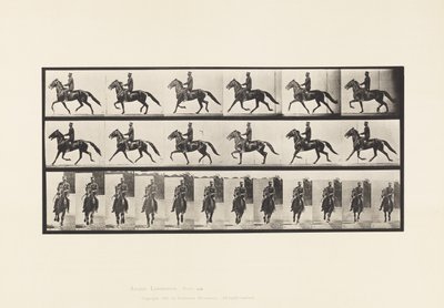 Placa 593. Paso de Andar; Silla; Caballo Marrón Pronto de Eadweard Muybridge