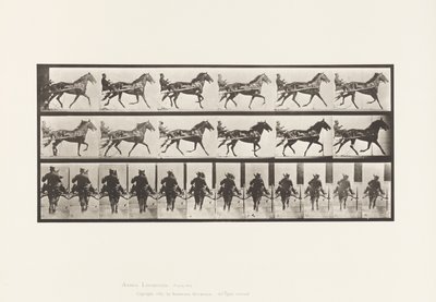 Placa 594. Balanceo (Paso): Sulky; Caballo Marrón Pronto de Eadweard Muybridge