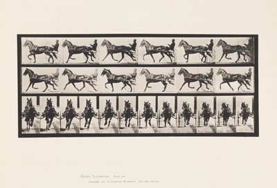 Placa 595. Balanceo (Paso): Sulky; Caballo marrón Pronto de Eadweard Muybridge