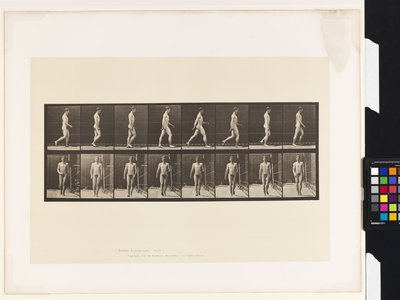 Placa 5. Caminando de Eadweard Muybridge