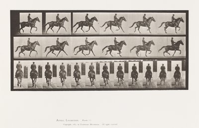 Placa 601. Trote; Silla de montar; Yegua marrón Beauty de Eadweard Muybridge