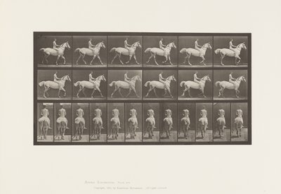 Placa 602. Trotting; Bareback; Jinete, 43, Desnudo; Caballo gris claro Smith, 1885 de Eadweard Muybridge