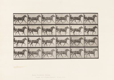 Placa 607. Trote; Sulky; Yegua baya, Lizzie M. de Eadweard Muybridge