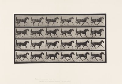 Placa 608. Trote; Sulky; Yegua Alazana, Flode Holden de Eadweard Muybridge