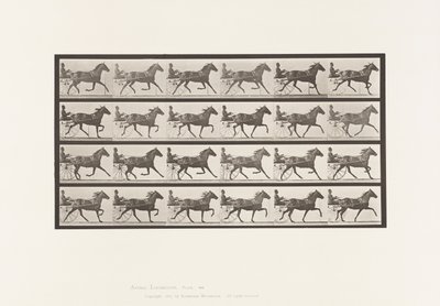 Placa 609. Trote; Sulky; Yegua Alazana, Lizzie M. de Eadweard Muybridge