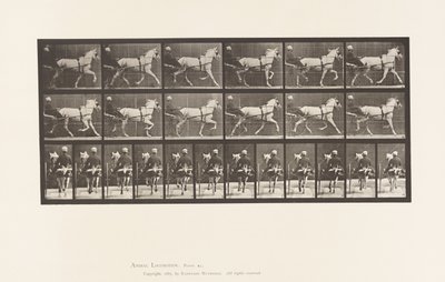 Placa 611. Trote; Sulky; Yegua Gris, Katydid de Eadweard Muybridge