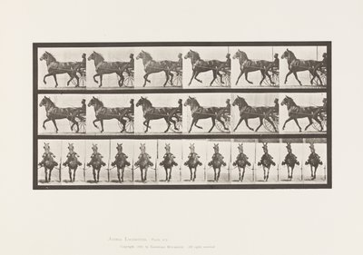 Placa 612. Trote; Sulky; Caballo Alazán, Dereumd de Eadweard Muybridge
