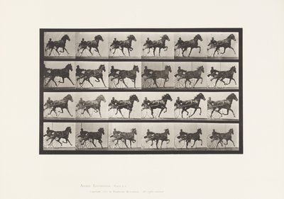 Placa 613. Trote; Sulky; Yegua Alazán Nellie Rose de Eadweard Muybridge