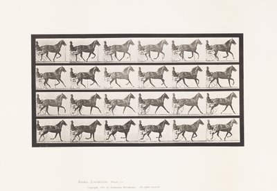 Placa 614. Trote; Rompiendo a Galope; Yegua Alazán Flode Holden de Eadweard Muybridge