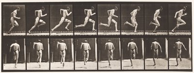 Placa 61. Corriendo a toda velocidad de Eadweard Muybridge