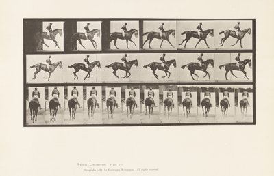 Placa 620. Medio Galope; Silla; Yegua Alazana Pura Sangre Annie 6 de Eadweard Muybridge