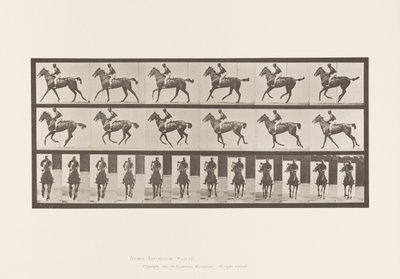 Placa 621. Medio Galope; Silla; Yegua Alazana Pura Sangre Annie 6 de Eadweard Muybridge