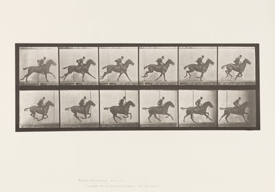 Placa 624. Galope; Silla; Caballo Alazán Daisy de Eadweard Muybridge