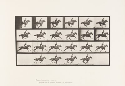 Placa 625. Galope; Caballo Alazán Pura Sangre Bouquet de Eadweard Muybridge