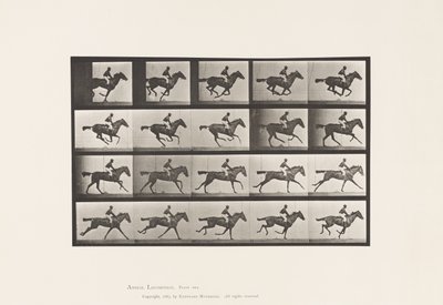 Placa 627. Galope; Yegua Pura Sangre Bay Annie G. de Eadweard Muybridge